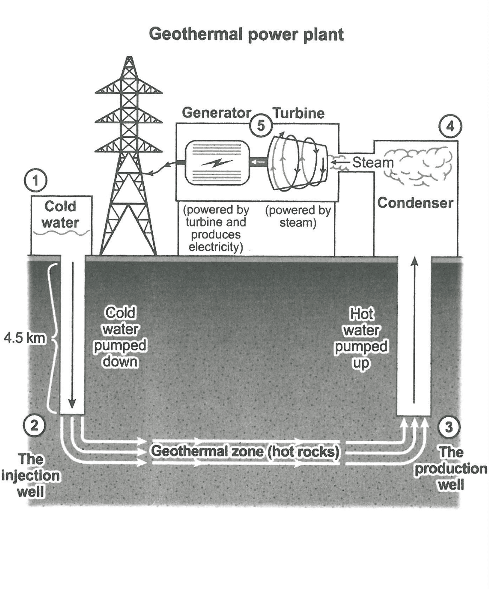 question diagram