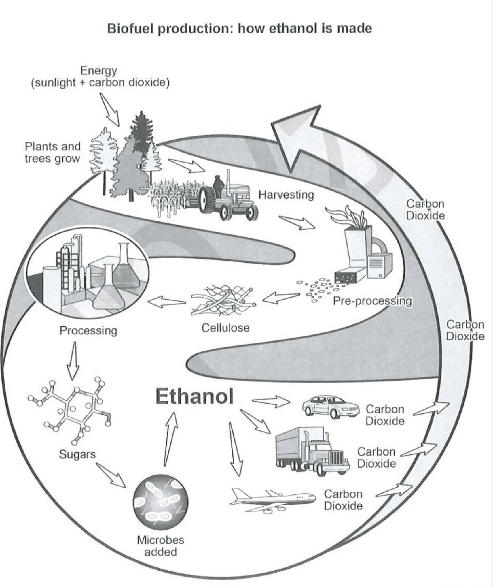 question diagram